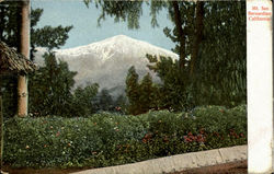 Mt. San Bernardino Scenic, CA Postcard Postcard