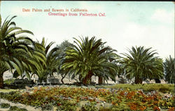 Greetings From Fullerton Postcard