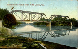 Scene On The Feather River Postcard
