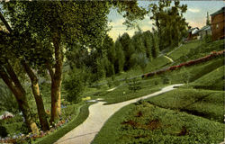 A Park Scene In California Scenic, CA Postcard Postcard