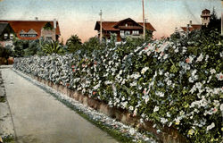 Street Scene Postcard