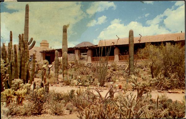 Arizona Sonora Desert Museum Tucson