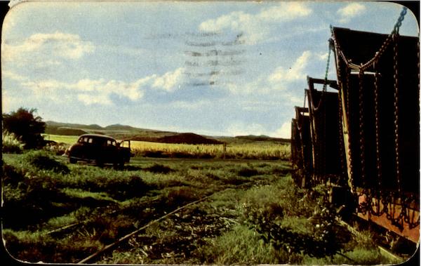 Sugar Plantation Hawaii