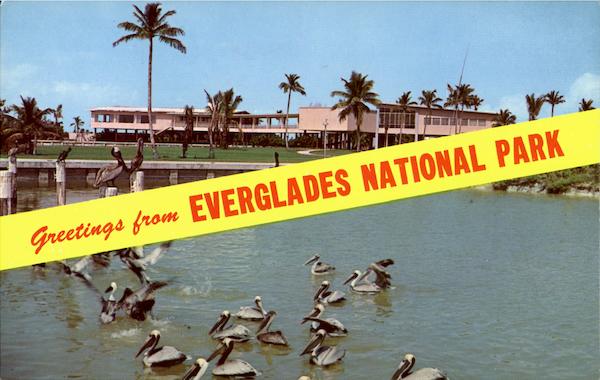 Greetings From Everglades National Park Florida