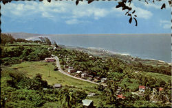 Stock #88830 Thumbnail