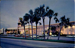 Miami Beach Postcard