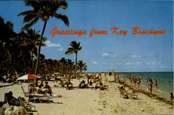 Greetings From Key Biscayne, Crandon Park Florida Postcard Postcard