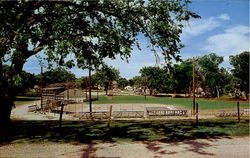 Little League Softball Diamond Postcard