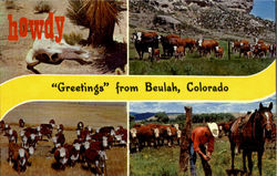 Greetings From Beulah Colorado Postcard 
