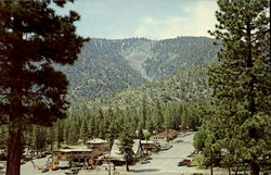 Wrightwood California Postcard Postcard