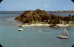 Algernon Aspinal's Postcard