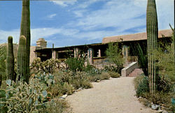 Sonora Desert Museum Postcard