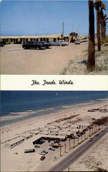 The Trade Winds Panama City Beach, FL Postcard Postcard