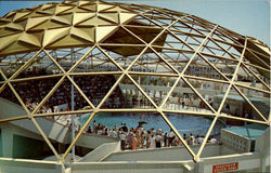 The Golden Dome Postcard