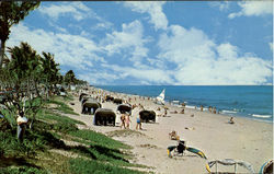 Delray Beach Florida Postcard Postcard