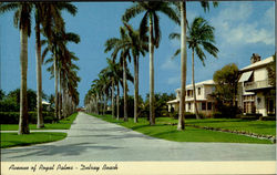 Avenue Of Royal Palms Delray Beach, FL Postcard Postcard