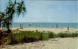 Swimming And Shelling Sanibel Island, FL Postcard Postcard