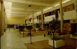 The Mall Urbana, IL Postcard Postcard