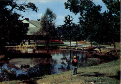 Lakemont Park Altoona, PA Postcard Postcard