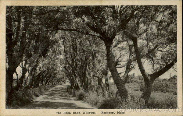 The Eden Road Willows Rockport Massachusetts