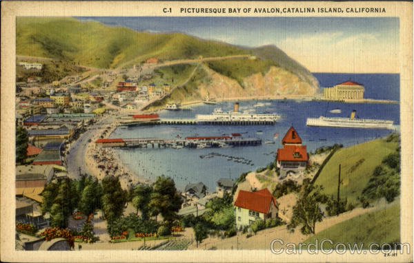 Picturesque Bay Of Avalon Santa Catalina Island California