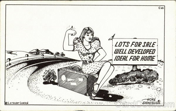 Lots for Sale Comic, Funny