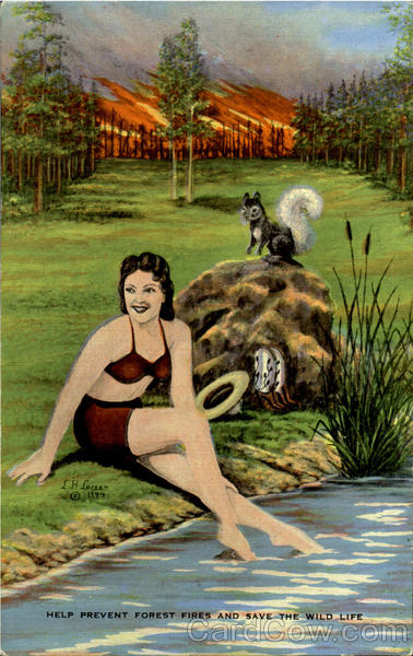 Help Prevent Forest Fires And Save The Wild Life L. H. Larsen