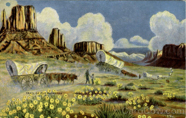 Trail Of The Pioneers Cowboy Western