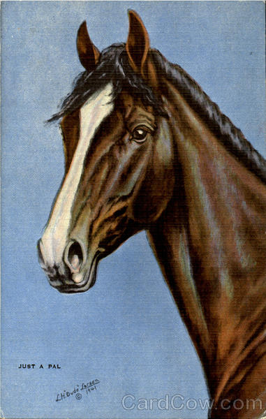 Just A Pal Horses