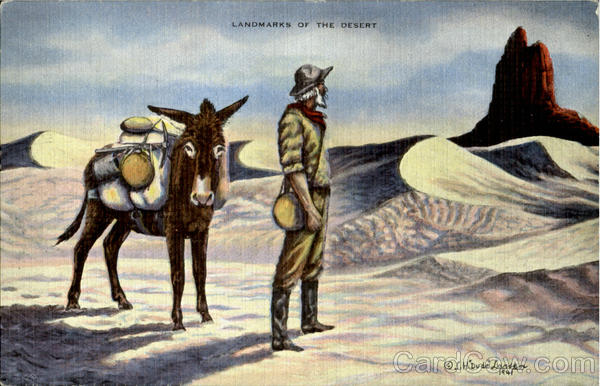 Landmarks Of The Desert Cowboy Western