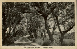 The Eden Road Willows Rockport, MA Postcard Postcard