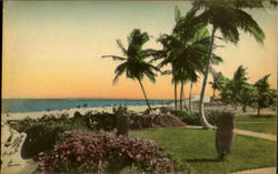 Winter In Tropical Florida Scenic, FL Postcard Postcard
