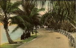 Along The Waterfront Scenic, FL Postcard Postcard