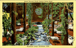 Brook Through World Famous Dining Room, Brookdale Lodge Postcard