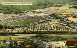 Rodeo Fairgrounds Pendleton, OR Postcard Postcard