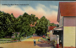 Looking Upon Maine Street Freehold, NY Postcard Postcard