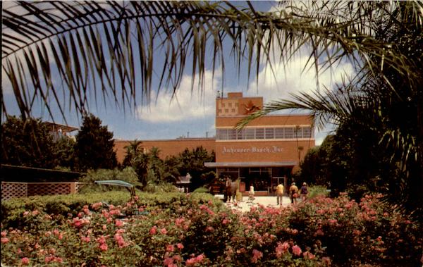 Entrance To Anteater Busch Gardens Tampa Florida