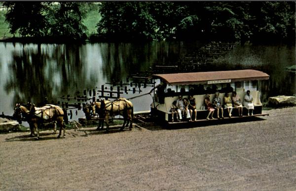 Horse Drawn Trolley Coshocton Ohio