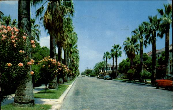A Residential Street Scene In Beautiful Galveston Texas
