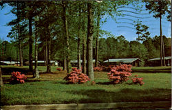 Marine Corps Base Camp Lejeune, NC Postcard Postcard