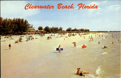 Clearwater Beach Florida Postcard Postcard