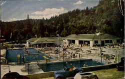 Forest Swimming Pool Postcard