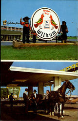 Holiday Inn Amish Postcard