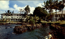 Naniloa Hotel Hilo, HI Postcard Postcard