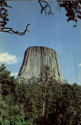 The Devils Tower Postcard