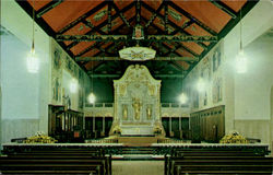 The Roman Catholic Cathedral Postcard