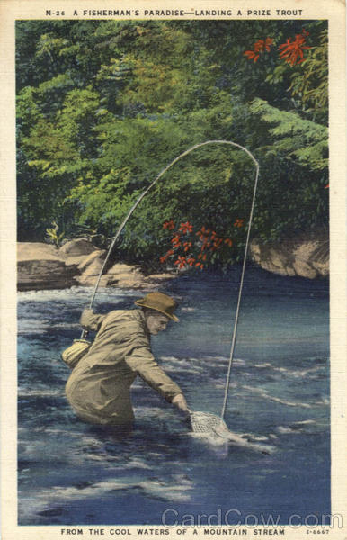 A Fisherman's Paradise-Landing a Prize Trout Fishing