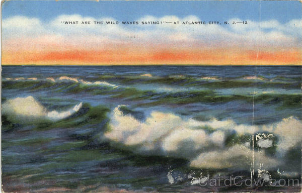 What are the Wild Waves Saying? Atlantic City New Jersey