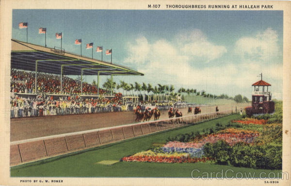 Thoroughbreds Running At Hialeah Park Florida