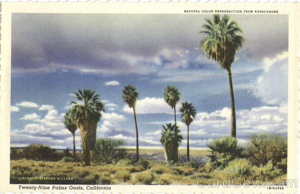 Twenty-Nine Palms Oasis Scenic California